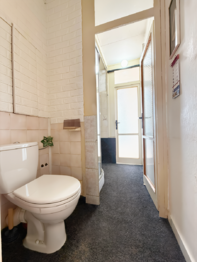 wc - Prodej bytu 3+1 v osobním vlastnictví 66 m², Plzeň