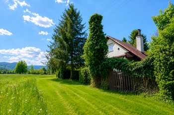 příjezdová cesta - Prodej chaty / chalupy 50 m², Trojanovice