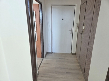 Pronájem bytu 1+1 v družstevním vlastnictví 38 m², Orlová