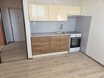 Pronájem bytu 1+1 v družstevním vlastnictví 38 m², Orlová