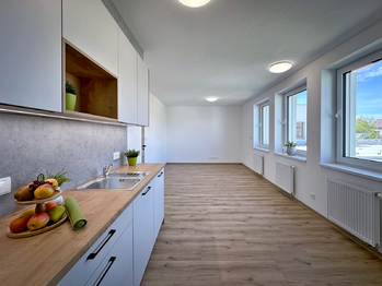 Pronájem bytu 2+kk v osobním vlastnictví 53 m², České Budějovice