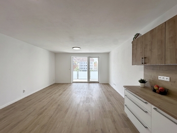 Pronájem bytu 1+kk v osobním vlastnictví 55 m², České Budějovice