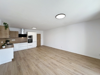 Pronájem bytu 1+kk v osobním vlastnictví 55 m², České Budějovice