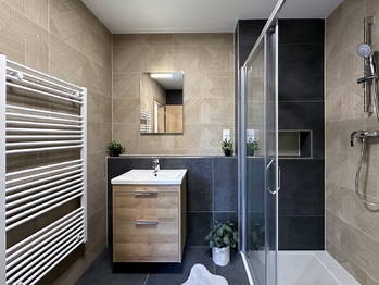 Pronájem bytu 1+kk v osobním vlastnictví 55 m², České Budějovice