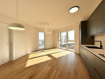 Pronájem bytu 2+kk v osobním vlastnictví 50 m², Praha 10 - Strašnice