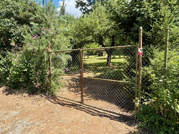 Prodej chaty / chalupy 34 m², Jílové u Prahy