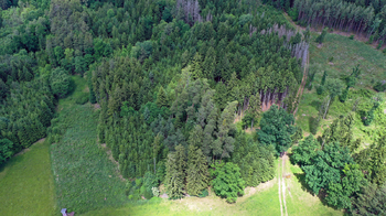 Prodej domu 50 m², Chýnov