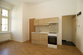 Pronájem bytu 1+1 v osobním vlastnictví 39 m², Praha 3 - Vinohrady