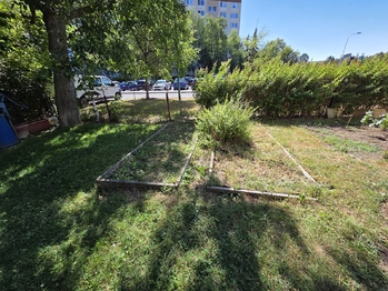 Pronájem bytu 3+1 v osobním vlastnictví 82 m², Olomouc