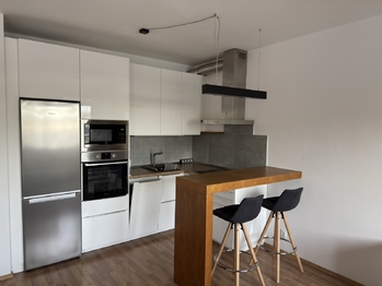 Pronájem bytu 1+kk v osobním vlastnictví 43 m², Brno