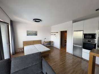 Pronájem bytu 1+kk v osobním vlastnictví 43 m², Brno