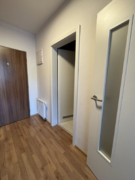 Pronájem bytu 1+kk v osobním vlastnictví 43 m², Brno