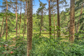 Prodej chaty / chalupy 50 m², Kamenný Přívoz