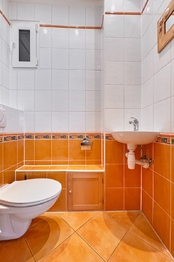WC - Prodej bytu 3+1 v osobním vlastnictví 106 m², Praha 3 - Vinohrady