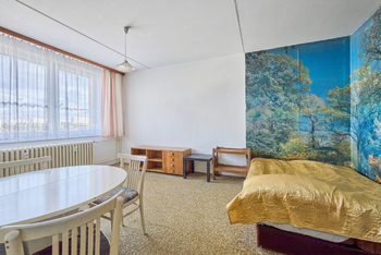 Prodej bytu 1+kk v osobním vlastnictví 28 m², Praha 4 - Chodov