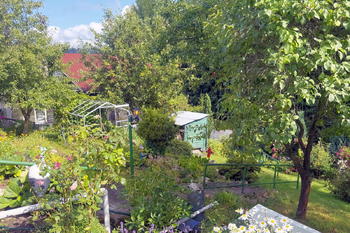 Pohled od chatky k pařníku - Prodej pozemku 378 m², Nejdek