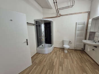Pronájem jiných prostor, Zlatníky-Hodkovice