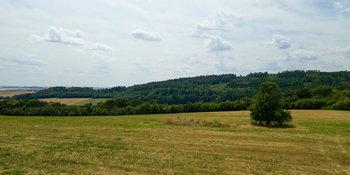 Prodej pozemku 16962 m², Nemojany