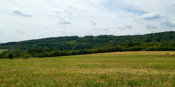 Prodej pozemku 16962 m², Nemojany