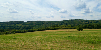 Prodej pozemku 16962 m², Nemojany
