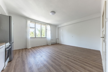 Pohled na obývací pokoj od dveří - Prodej bytu 2+kk v osobním vlastnictví 43 m², Praha 3 - Vinohrady