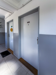 vstupní dveře do bytu - Prodej bytu 4+kk v osobním vlastnictví 84 m², Netolice