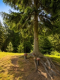 Prodej domu 104 m², Dobřív