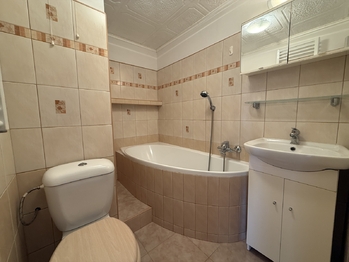 Koupelna - Prodej bytu 1+1 v družstevním vlastnictví 34 m², Čížkovice
