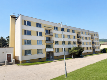 Pohled na dům - Prodej bytu 1+1 v družstevním vlastnictví 34 m², Čížkovice 