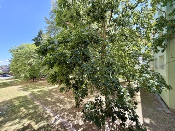 Prodej bytu 2+1 v osobním vlastnictví 51 m², Chomutov