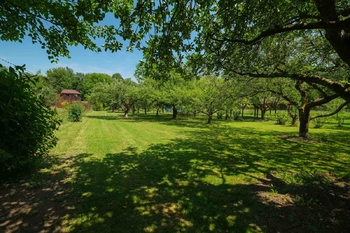 Prodej pozemku 1829 m², Štramberk