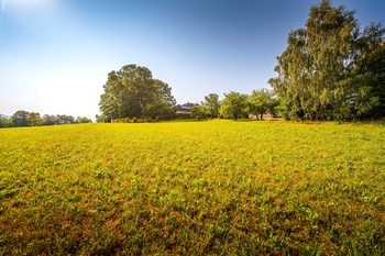 Prodej pozemku 900 m², Omlenice