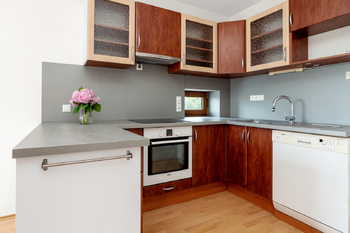 Pronájem bytu 3+kk v osobním vlastnictví 72 m², Zbuzany