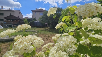 Prodej domu 218 m², Dolní Loučky