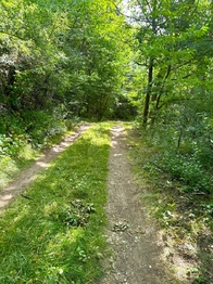 Prodej pozemku 25771 m², Dačice
