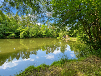 Prodej pozemku 25771 m², Dačice