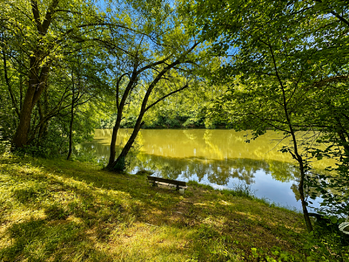 Prodej pozemku 25771 m², Dačice