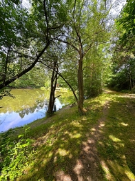 Prodej pozemku 25771 m², Dačice