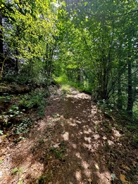 Prodej pozemku 25771 m², Dačice