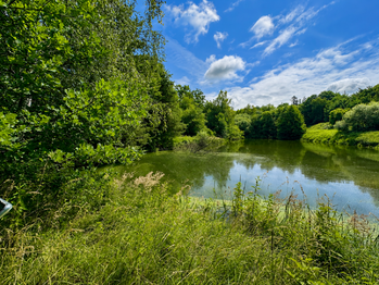 Prodej pozemku 25771 m², Dačice