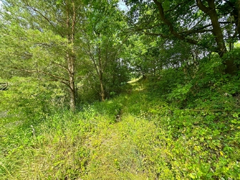 Prodej pozemku 25771 m², Dačice