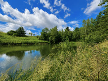 Prodej pozemku 25771 m², Dačice