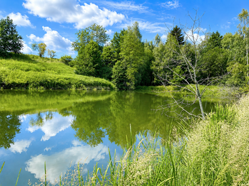 Prodej pozemku 25771 m², Dačice
