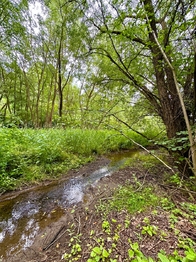 Prodej pozemku 25771 m², Dačice