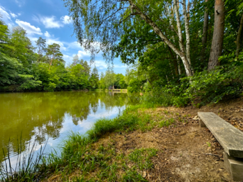 Prodej pozemku 25771 m², Dačice