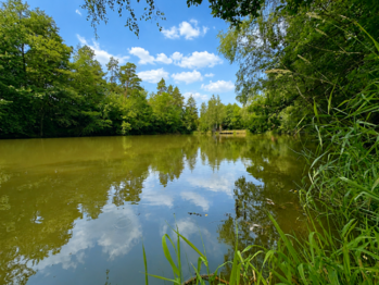 Prodej pozemku 25771 m², Dačice