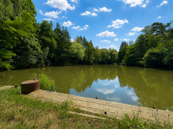 Prodej pozemku 25771 m², Dačice
