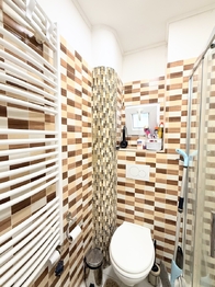 Pronájem bytu 1+kk v osobním vlastnictví 20 m², Karlovy Vary