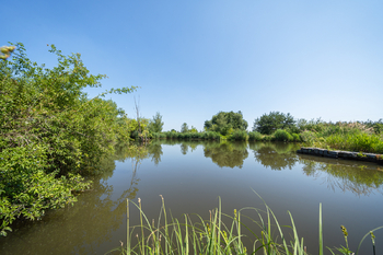 Prostorný byt 3+1 s lodžií a sklepem, 2x výtah – Praha 9, Černý Most Prodej útulného byt 3+1 se širokou lodžií a sklepní kójí v klidné lokalitě Prahy 9 – Černý Most, obklopený zelení a v dosahu vešker - Prodej bytu 3+1 v osobním vlastnictví 70 m², Praha 9 - Černý Most