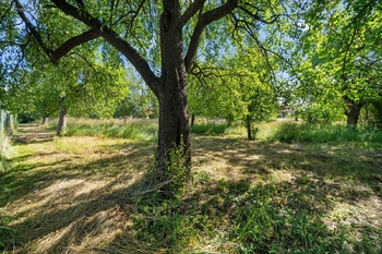 Prodej pozemku 2712 m², Butoves